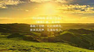 【春晓】唐。孟浩然 音频版 简体 说说唱唱唐诗三百首(春眠不觉晓,处处闻啼鸟。夜来风雨声,花落知多少。)Tang Poem