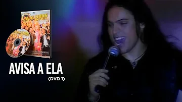 O que vai acontecer com o dr Araújo?