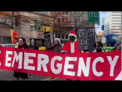 Climate Activists Block DC Traffic To Prevent Extinction