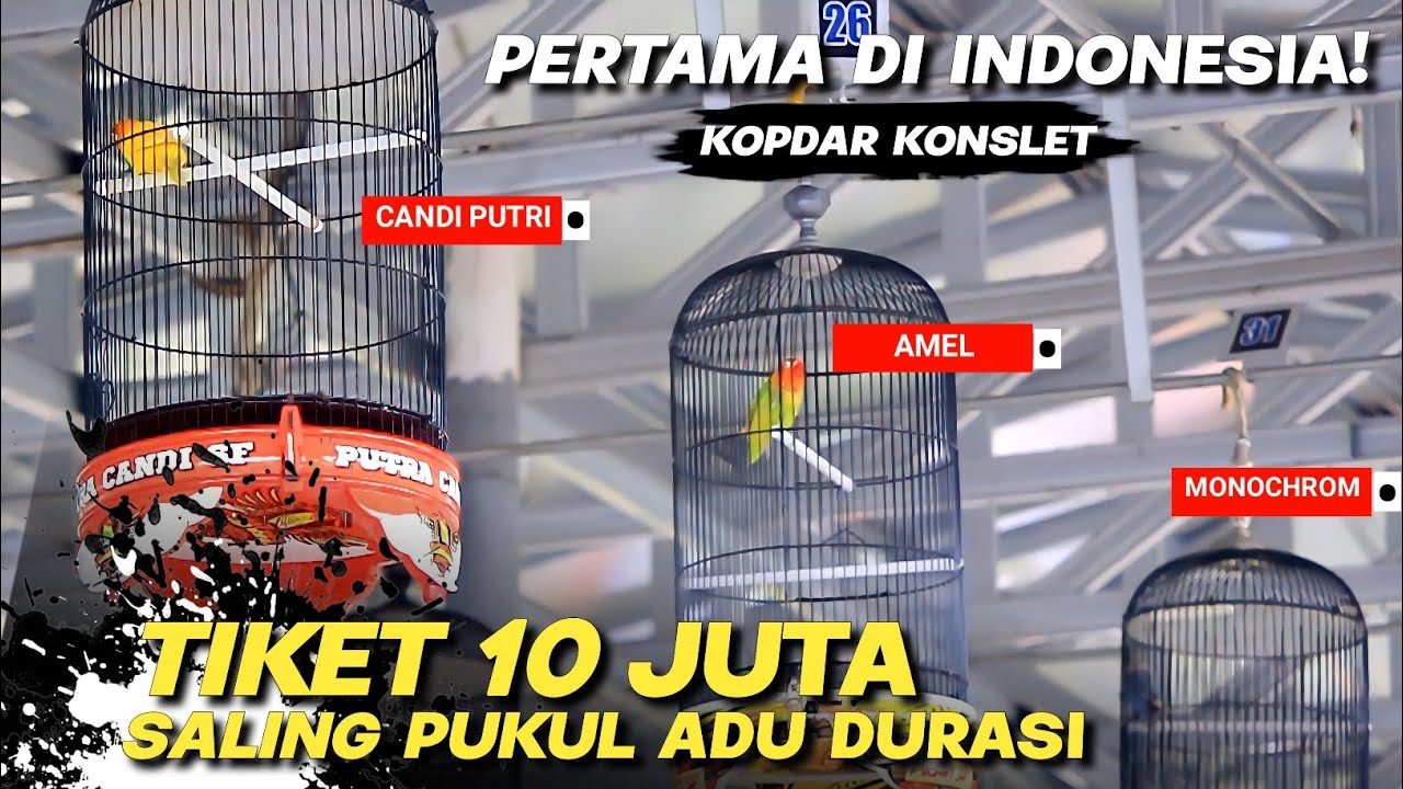 PERTAMA DI INDONESIA, TIKET 10 JUTA SALING PUKUL ADU DURASI