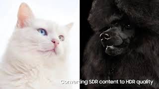 Samsung Qm55R 55 Inch 4K Uhd 3840X2160 247