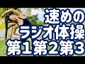 ☆☆【１.２倍速】速めのラジオ体操第１・第２・第３ ニューヨーク・クイーンズパークにて【ナレーションと字幕付き】Japanese Radio Taiso Exercise (x 1.2 speed)
