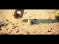 روح الفريق عمر طاهر 