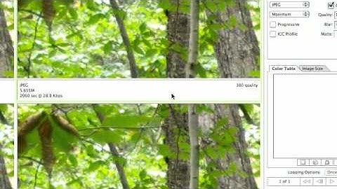 Resize Image for Web