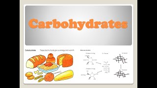 carbohydrates 1