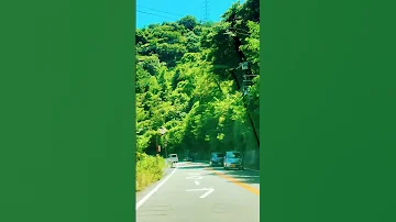Driving Tour Trip Kobe 2025 