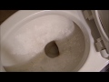 How to Clean Hard Water Stains from a Toilet Bowl