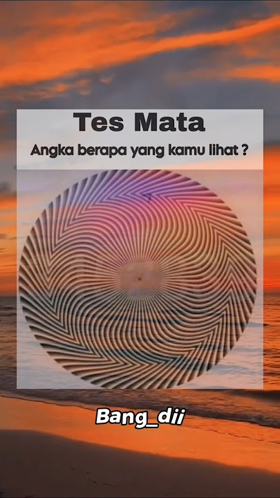 Angka berapa yang kamu lihat ?