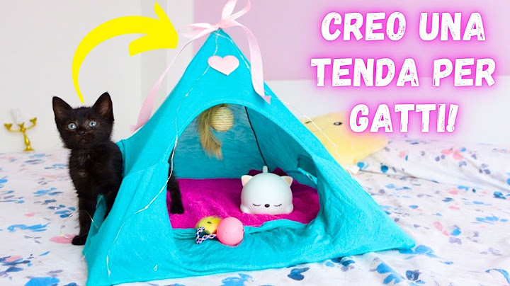 CREO UNA TENDA PER IL GATTINO CHAN! *DIY cat tent*