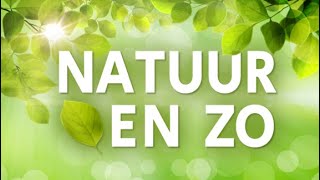 Natuur en Zo TV: heidebeheer op landgoed De Hamert - 6 juni 2021 screenshot 4