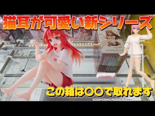 クレーンゲーム】猫耳が可愛い 新シリーズ 五等分の花嫁∬ Desktop