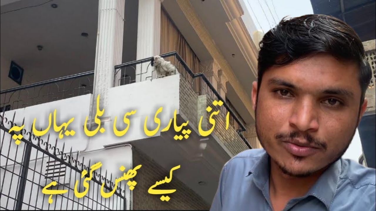 Ab Kise Nikalin Ge Bili Ko 😳