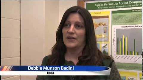 DNR reports 50 less deer checked in this season so far