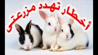 اخطار تهدد مزرعتى