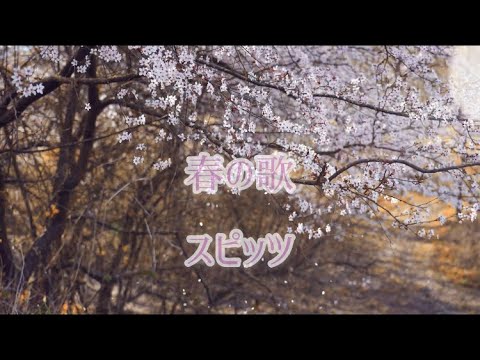 【歌ってみた】春の歌ショートver/スピッツ (coverもんなまい)