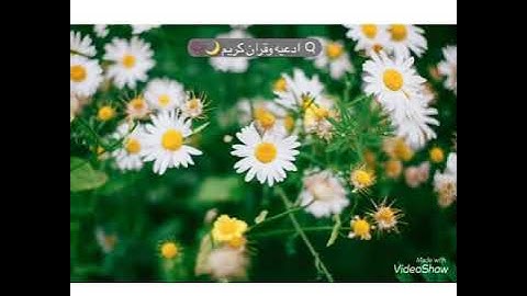 أذكار الصباح🌞 _ أصبحنا وأصبح الملك لله 🌸_ الحمد لله 🙏_ لا اله الا الله 👆