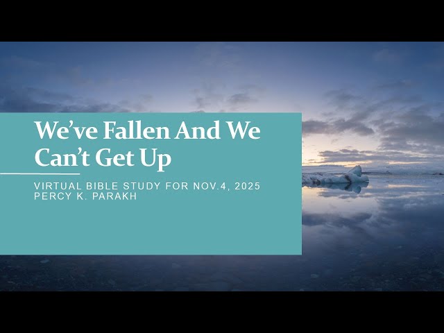 We've Fallen And We Can't Get Up