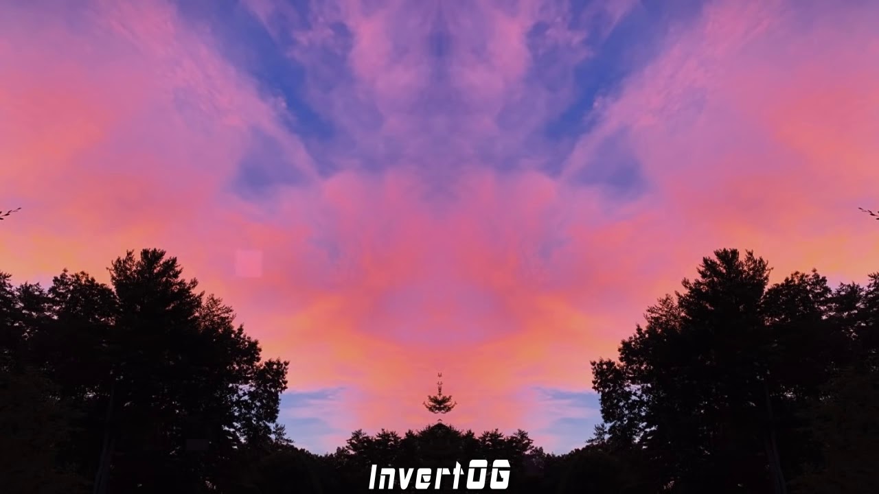 Lyotto - SugarCrash ( lyrics )