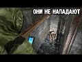 Ученые приручили мутантов. STALKER Закоулки правды #6