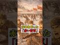 軍事知識ゼロでも無敵！赤軍を作った「赤い将軍」トロツキー #トロツキー #赤軍 #ロシア革命 #ソビエト連邦
