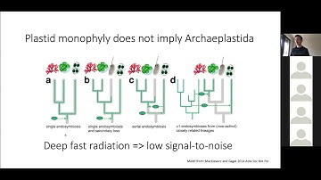 Phylogenomics And Major Evolutionary Transitions   Iker Irisarri