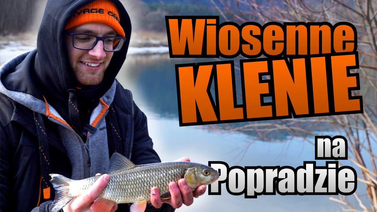 Jak Łowić Klenie Wczesną Wiosną? Rzeka Poprad