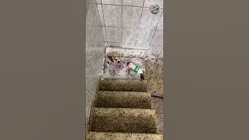 Crushing Crunchy & Soft Things! 🔥 Breaking Glass Bottles #shorts #asmrsounds #satisfying