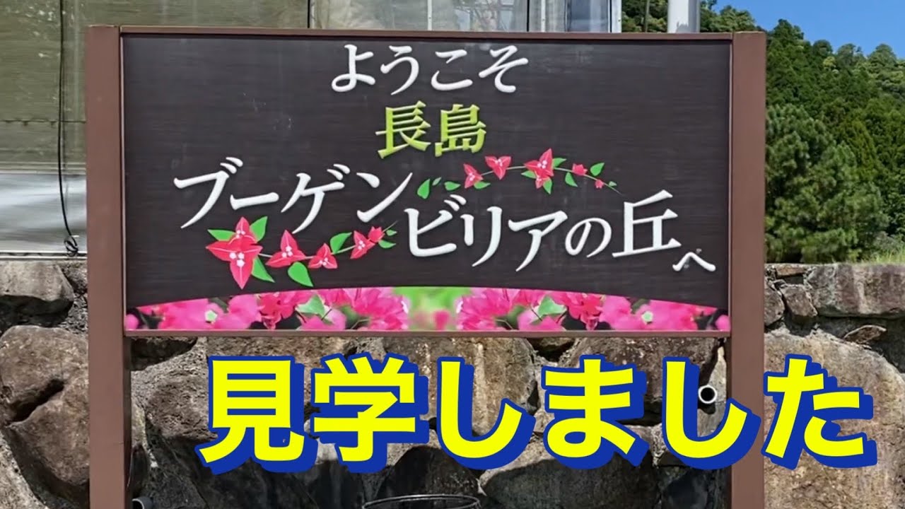 ブーゲンビリアの丘　鹿児島県出水郡長島町　東町