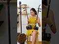 The Family Of Huqin Instruments Erhu Erhuinstrument Chinesemusic