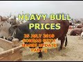 Heavy Bull Prices - Karachi Sohrab Goth Mandi Update 25 July 2018 - Part 2