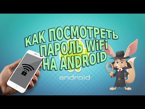 Как посмотреть пароль WiFi на Android