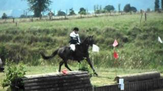 DSCF0960
