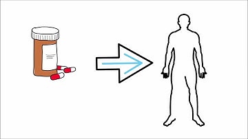 Animals most often used for Preclinical research