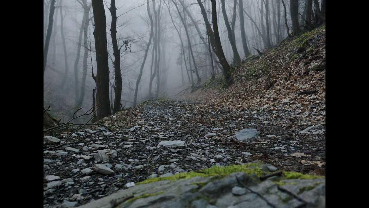 Mystische Wanderung im Nebel | Mehringer Schweiz Moselsteig