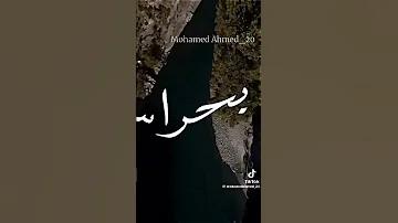يا اسود مفهاش اى شراسه 