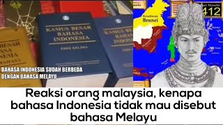 REAKSI YOUTUBERS MALAYSIA || KENAPA BAHASA INDONESIA TIDAK MAU DISEBUT BAHASA MELAYU!!