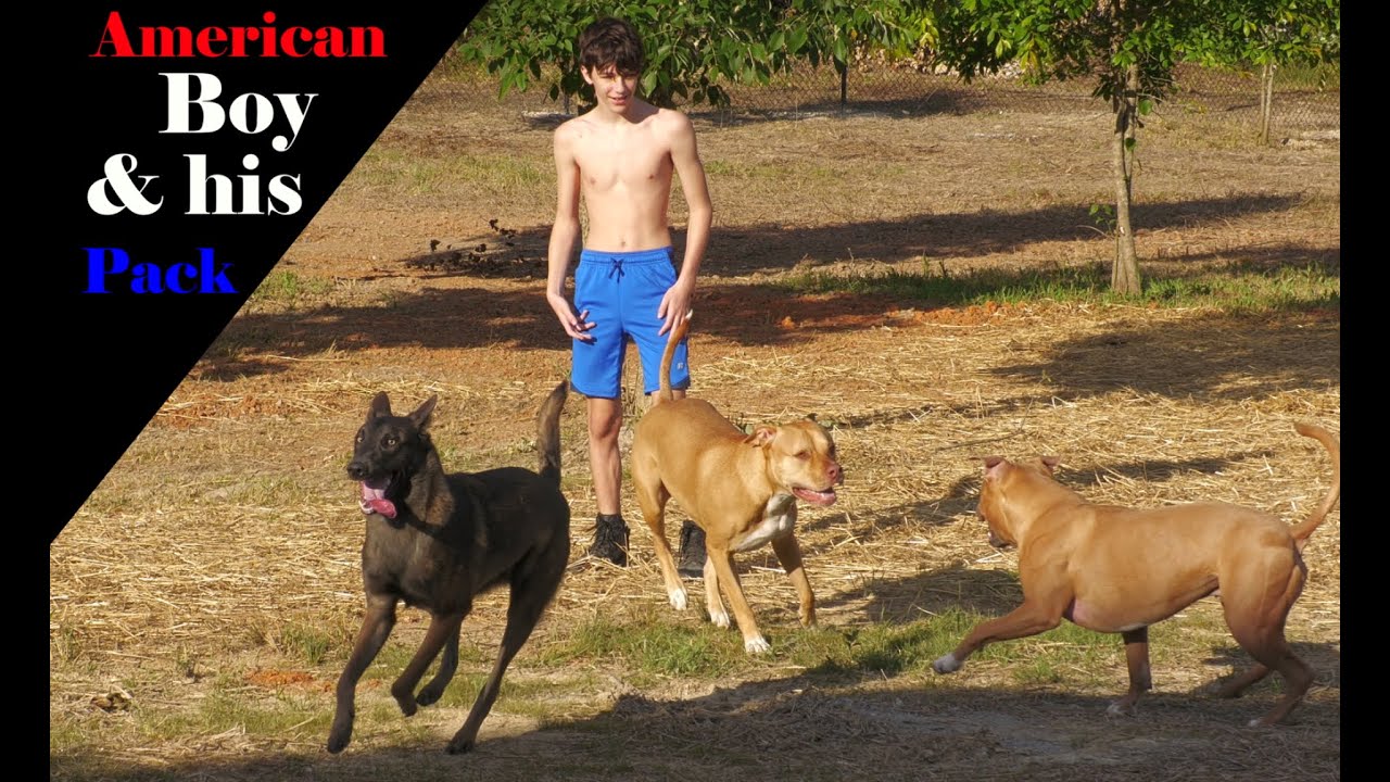 Backyard with Boots: A Boy & his Big Dogs!
