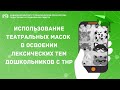 ИСПОЛЬЗОВАНИЕ ТЕАТРАЛЬНЫХ МАСОК В ОСВОЕНИИ ЛЕКСИЧЕСКИХ ТЕМ ДОШКОЛЬНИКОВ С ТНР