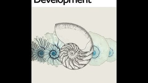 100 years of On Growth and Form: Highlights from our special issue