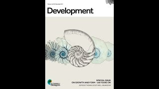 100 years of On Growth and Form: Highlights from our special issue