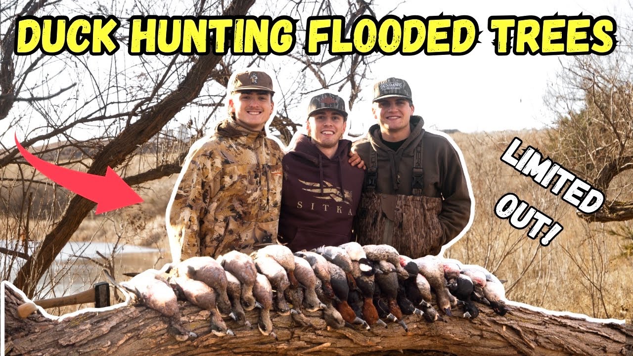 Охота на уток в затопленных деревьях на фермерском пруду (количество охотничьих уток ограничено)