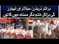 Strike of broiler traders suppliers and dealers is over  aaj news