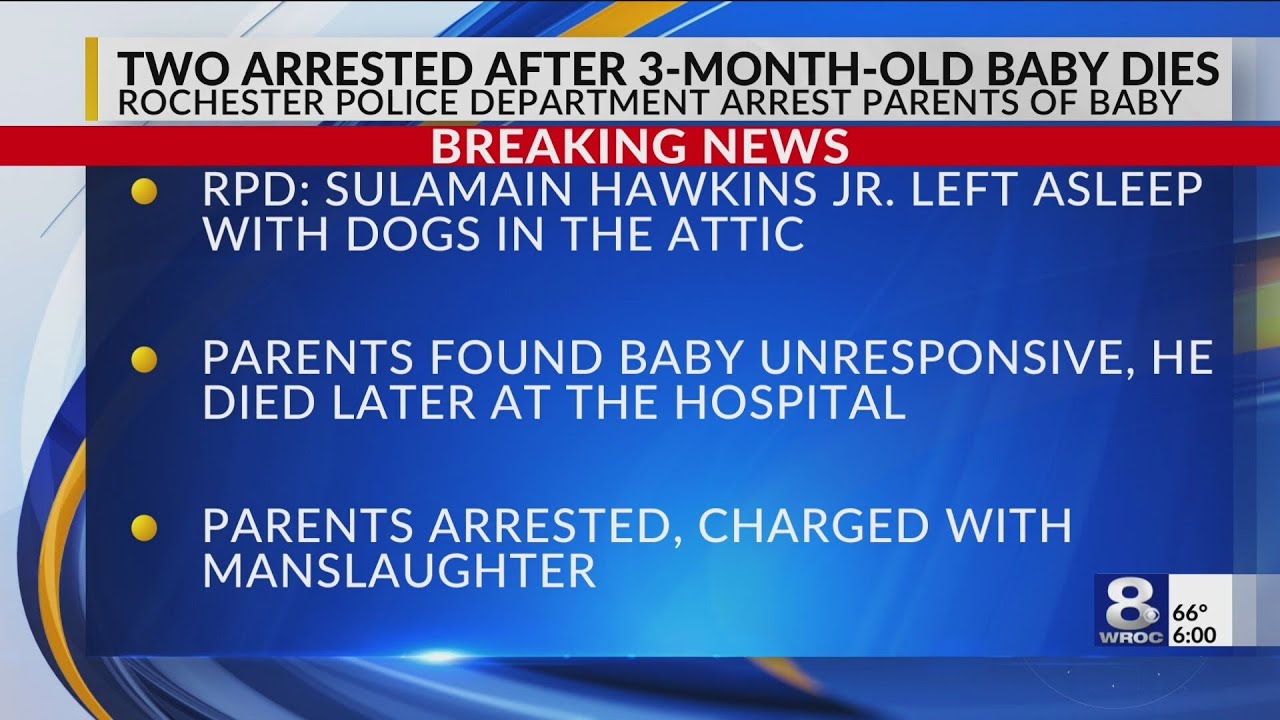 Parents of baby mauled by dogs arrested for manslaughter - YouTube