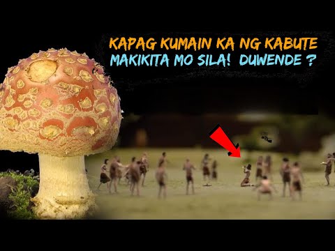 Video: Pag-activate ng Araw sa bisperas ng eklipse noong Agosto 21