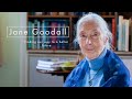 Jane Goodall - Finding our way to a better future