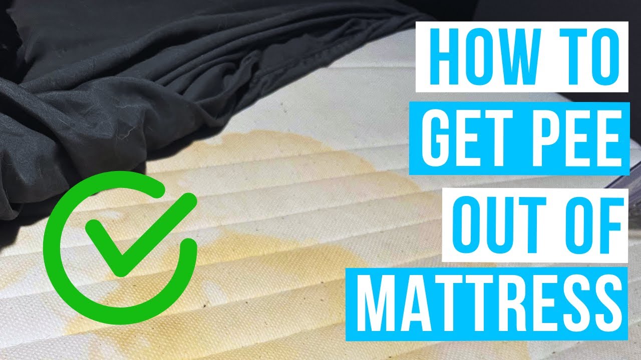 How to Get Pee Out of a Mattress