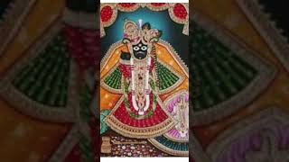 Video thumbnail of "Ae sundar shyam | Anuradha Modi | Sanvi Modi | Radha Kripa"