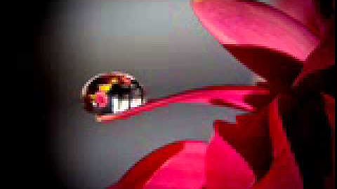 سورة سبا برواية ورش  الاصبهاني  ابو عبد الله المظفر