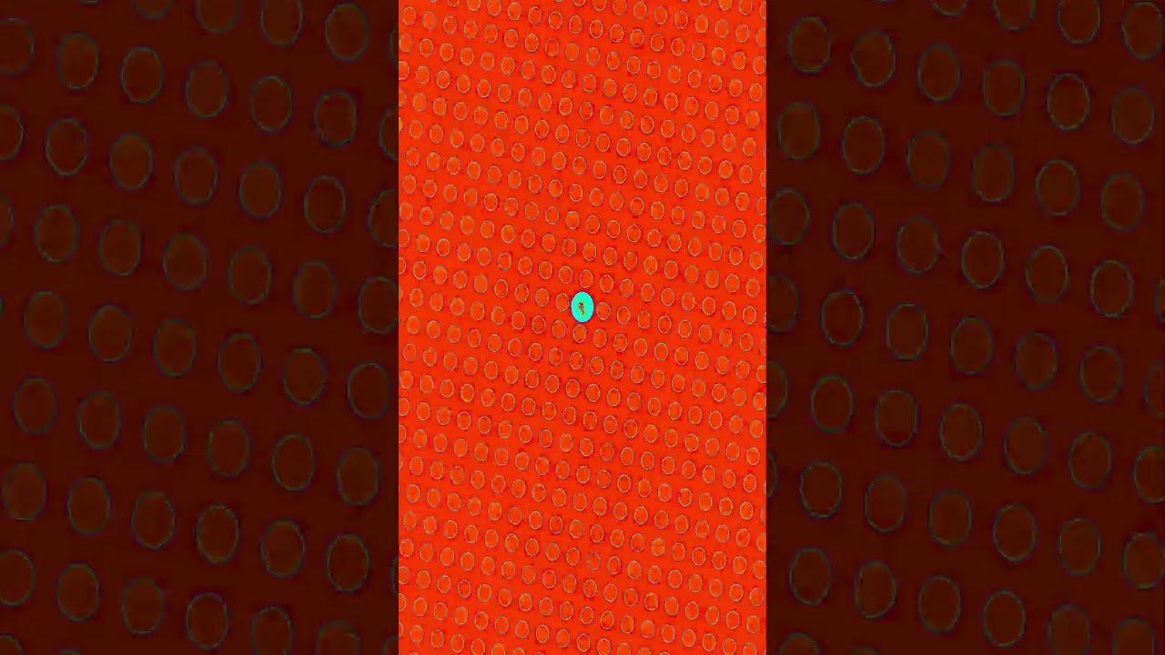 “The Most Hypnotic Optical Illusions You’ve Ever Seen!”