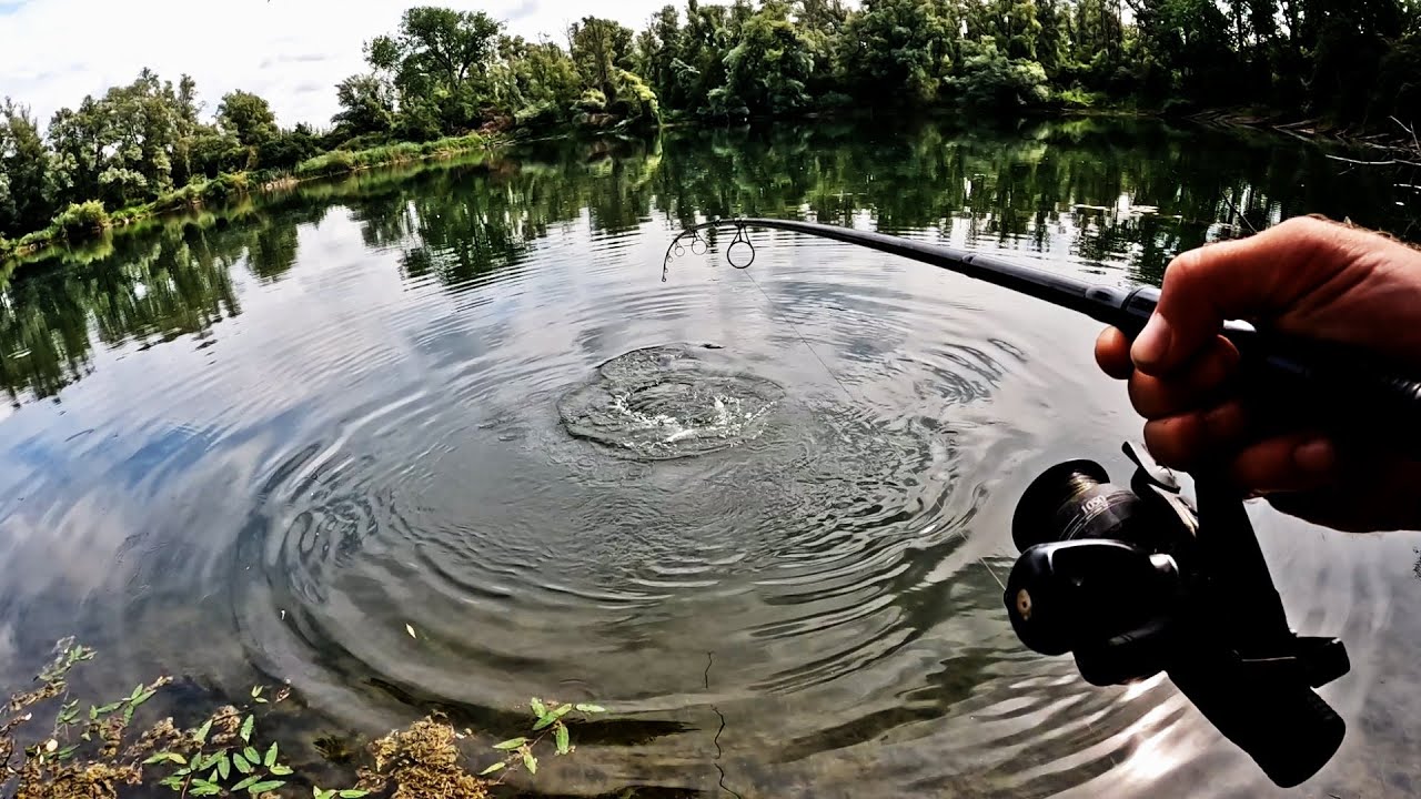Karper op de dobber (#11): Grootste van het jaar?